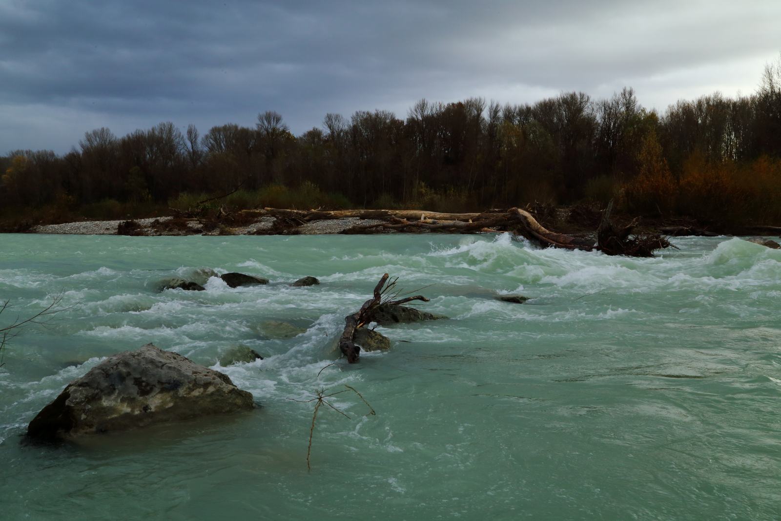 La rivière Drôme en début d'hiver dans la réserve des Ramières