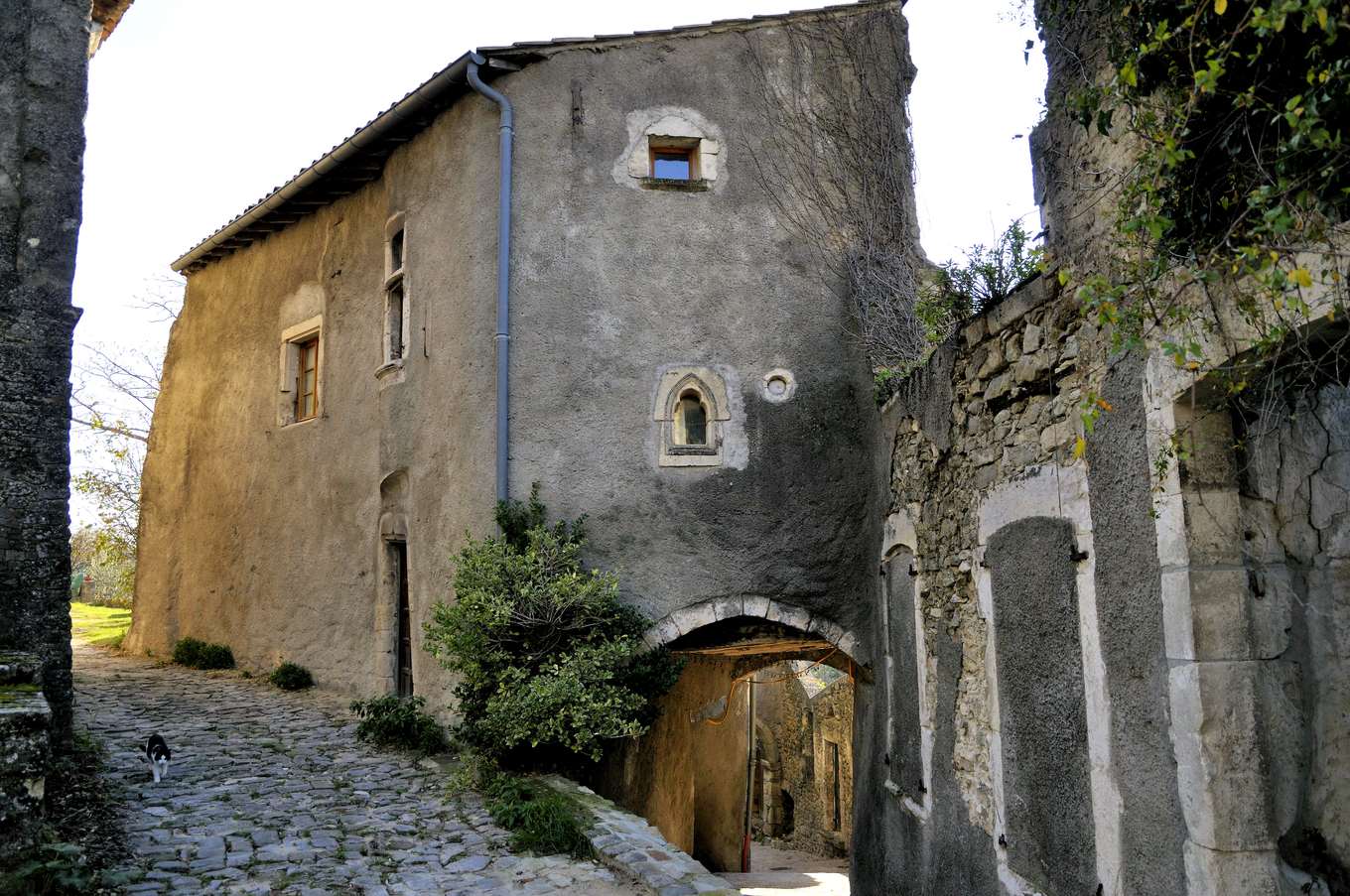 Une ruelle pavée de Châteauneuf-de-Mazenc