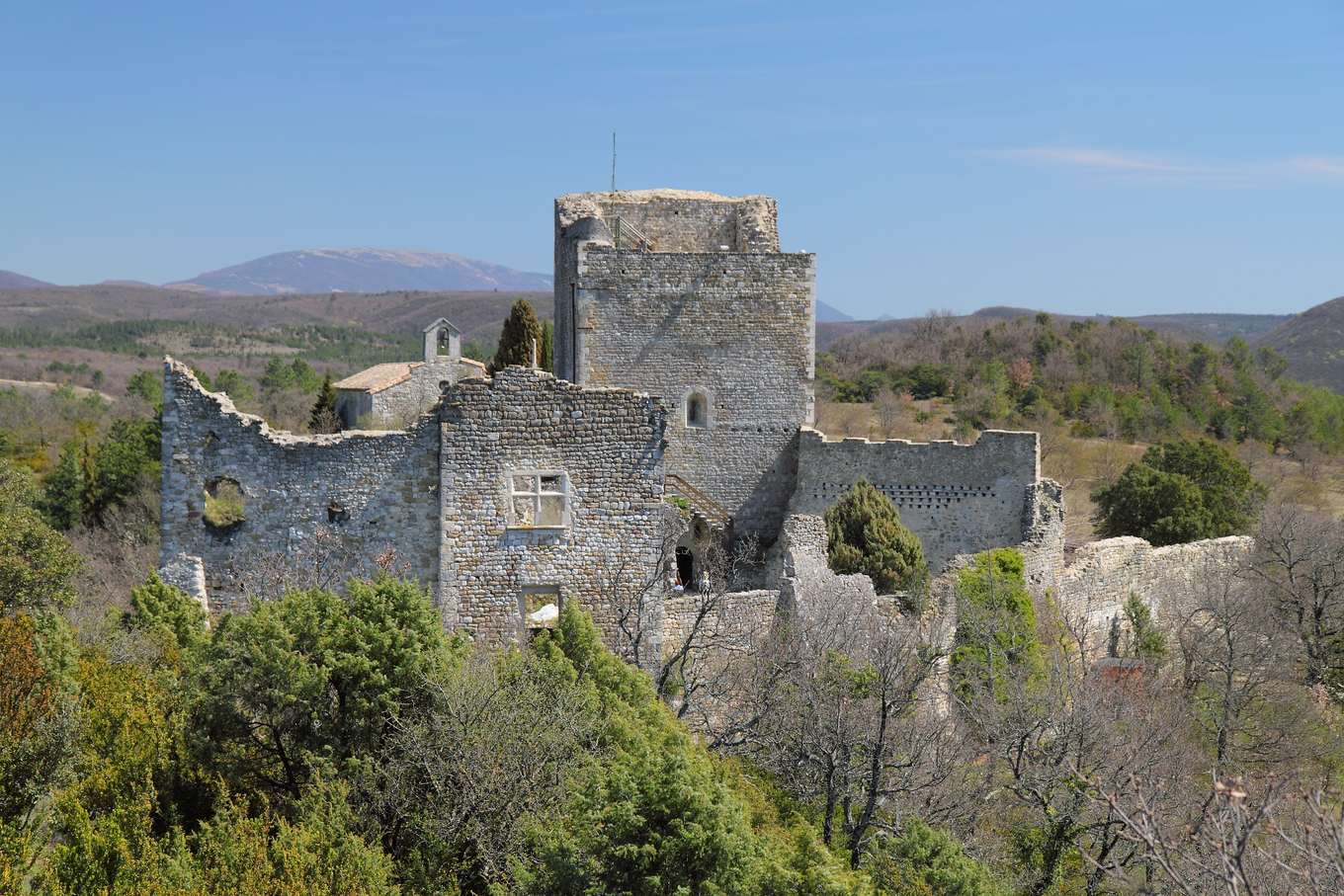 Les ruines du château de Rochefort-en-Valdaine