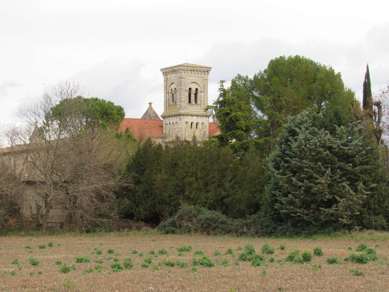 Le clocher carré à baies géminées de la basilique de Bonlieu, au-dessus des toits de tuiles et des cyprès, vu depuis un champ labouré