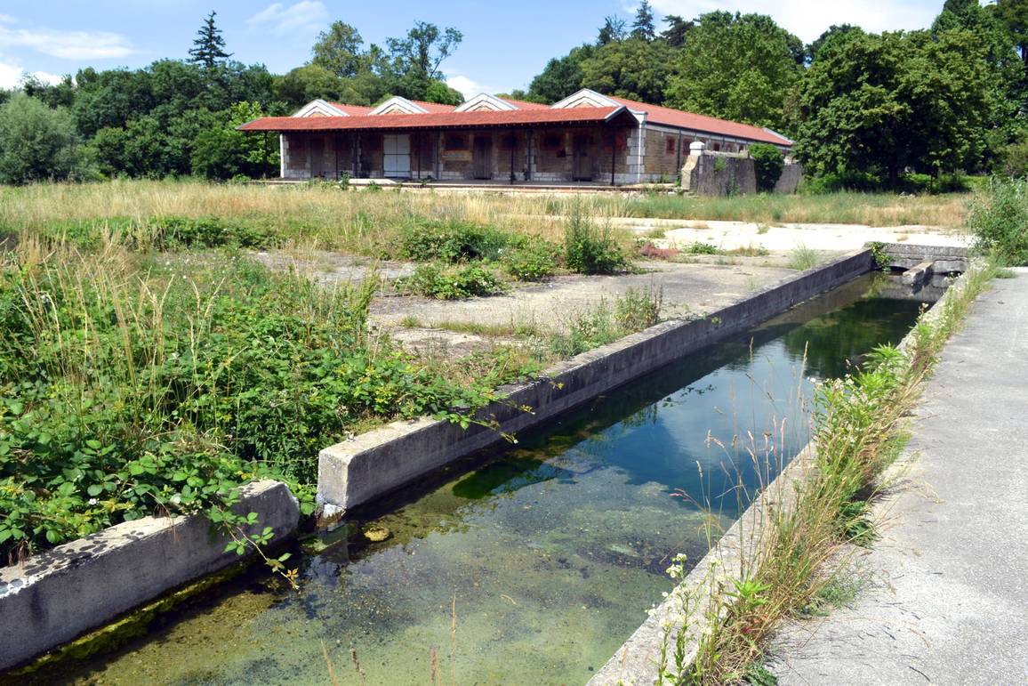 La gare militaire de la Cartoucherie et une canalisation de béton envahie d'herbes