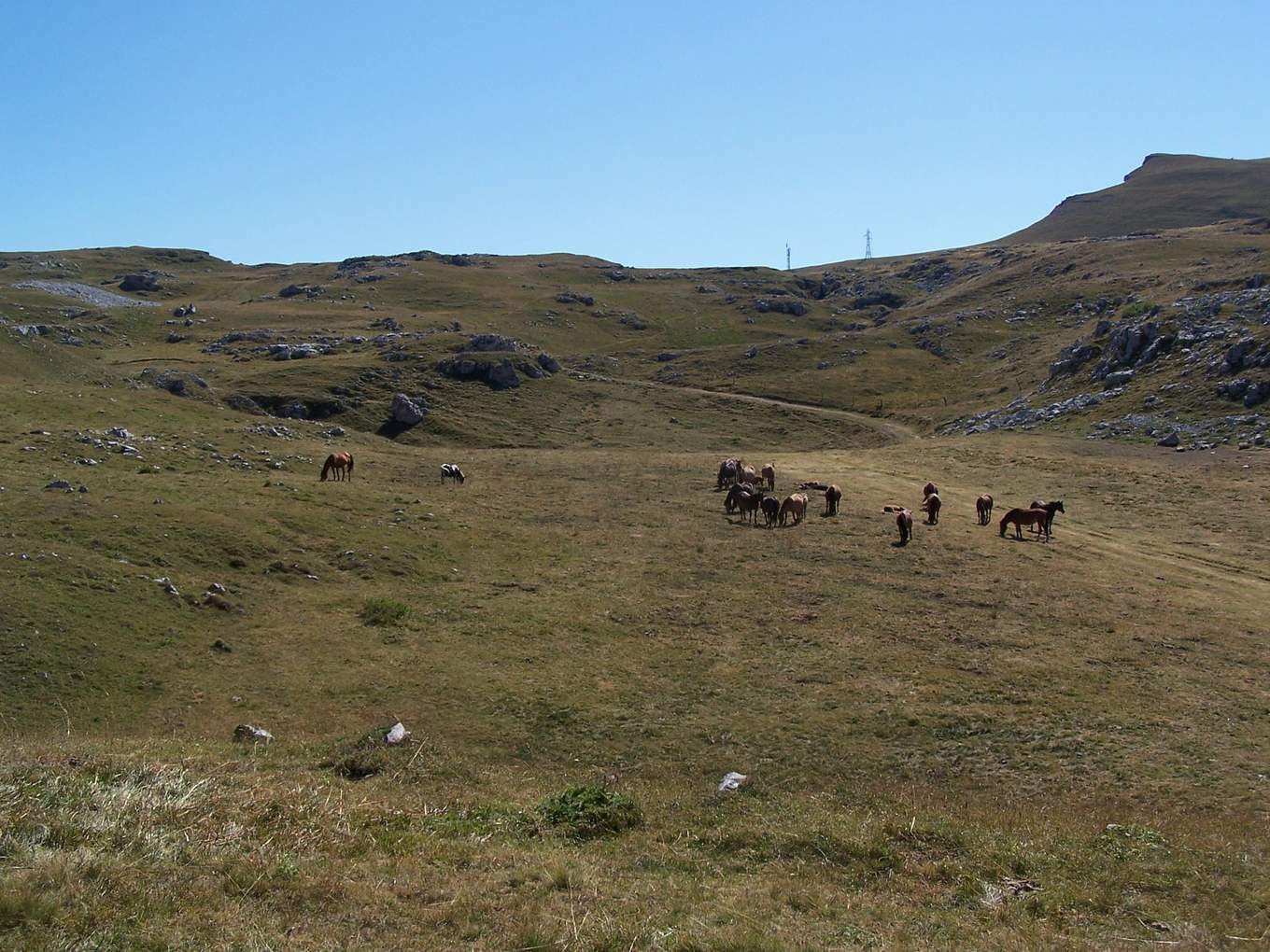 Le plateau de Font d'Urle en été, avec son relief calcaire creusé