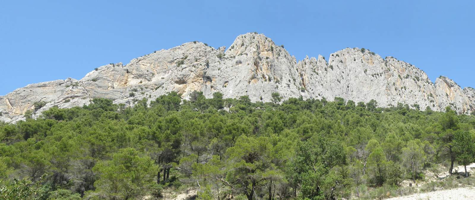 Le versant sud du rocher Saint-Julien au-dessus de Buis-les-Baronnies