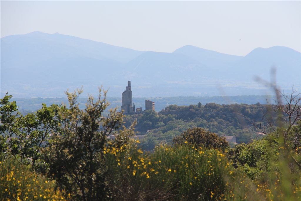 La tour médiévale de Chamaret dressée sur son rocher