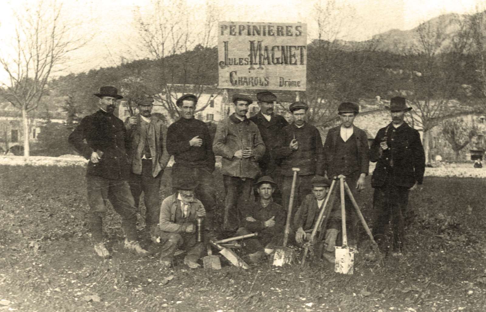 Carte postale de 1904, l'équipe des pépinières viticoles Jules Magnet posant avec ses outils devant un panneau