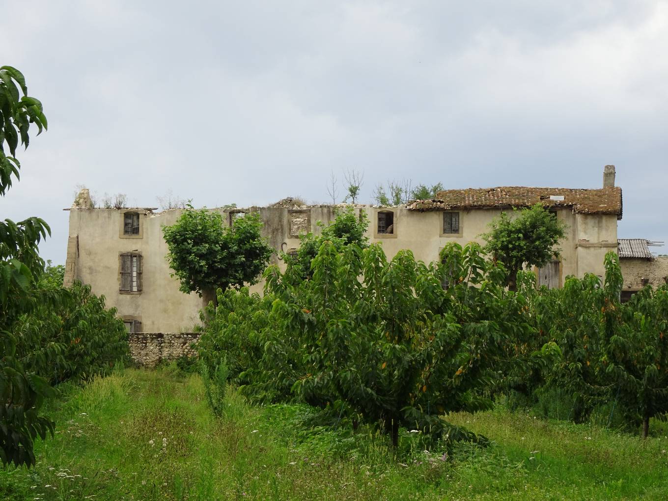 L'ancienne abbaye de Vernaison en ruine, entourée de vergers de cerisiers