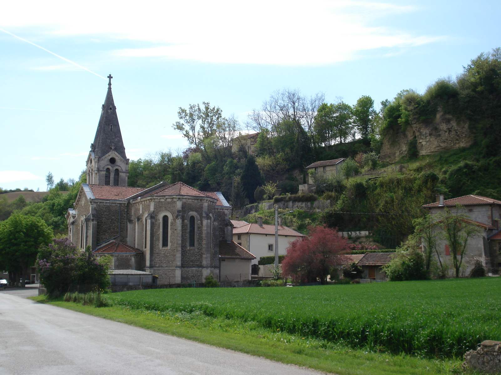 L'église de Crépol, son abside et son haut clocher pointu, au bord d'une route et d'un champ de blé vert, devant une falaise de molasse boisée