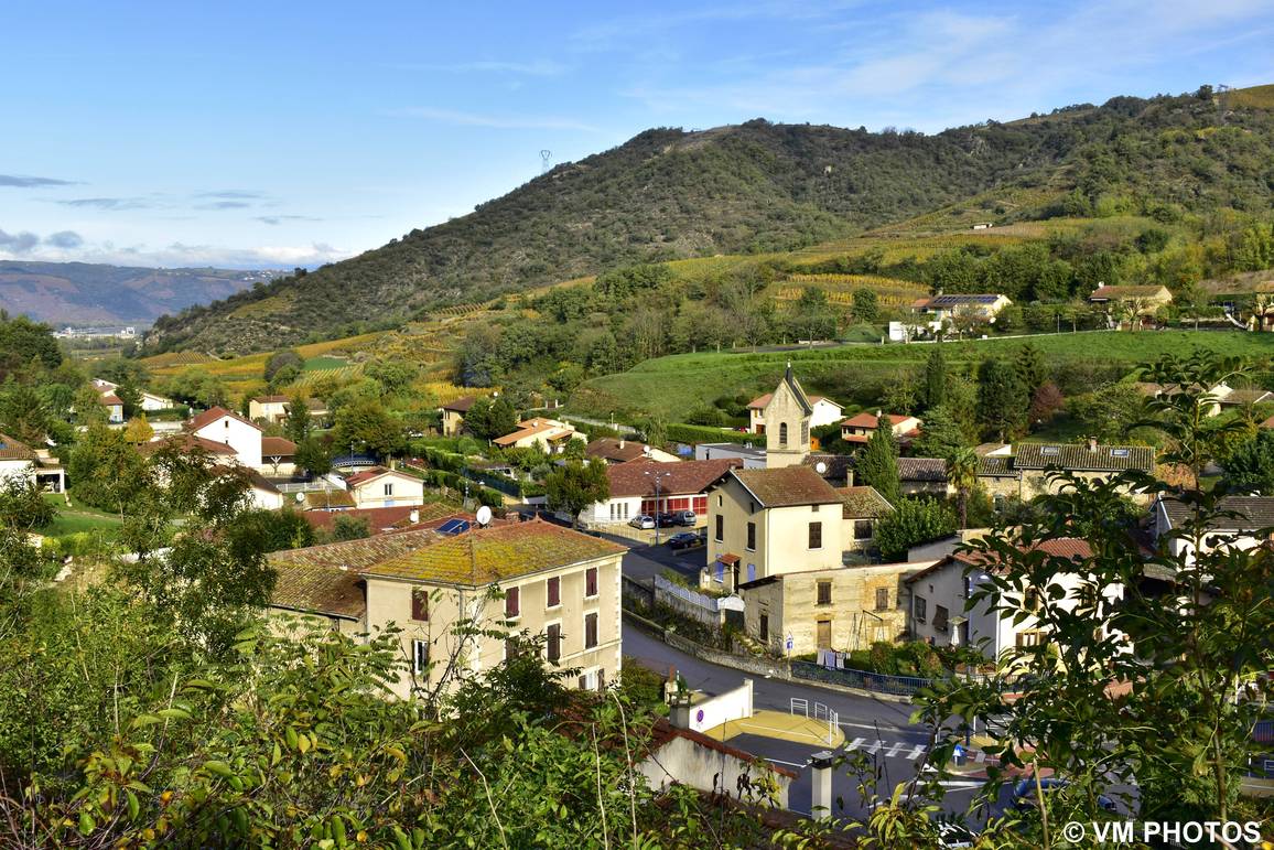 Le village de Crozes-Hermitage vu depuis la falaise de la Madone, toits et vignes