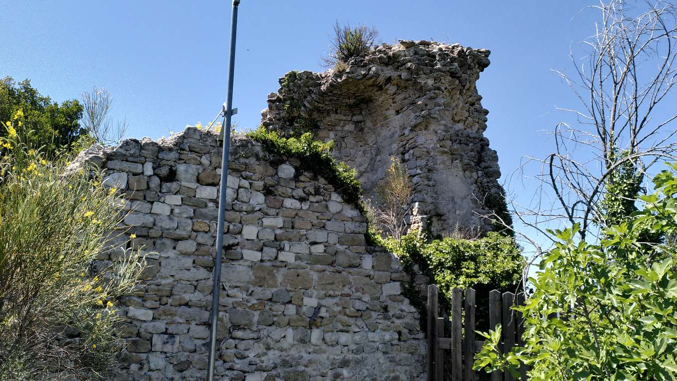 Un pan de tour en ruine envahi de végétation au sommet du Châtelas