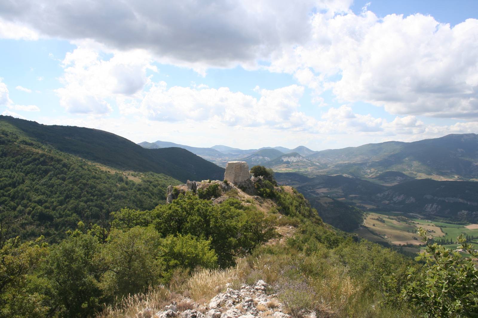 Les ruines de la tour du Riable sur une crête rocheuse boisée, avec la vallée de la Méouge et des montagnes en arrière-plan