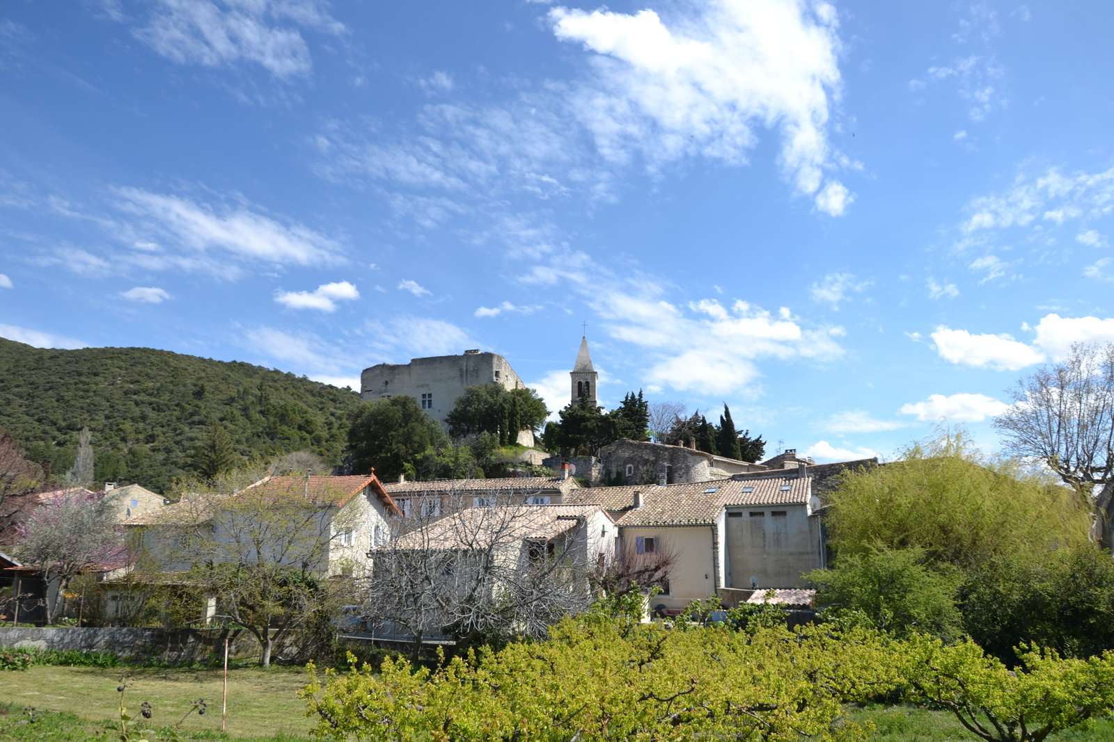 Le village et le château du Pègue