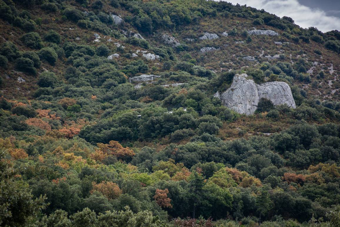 L'entrée de la grotte Mandrin, sous sa falaise, à Malataverne