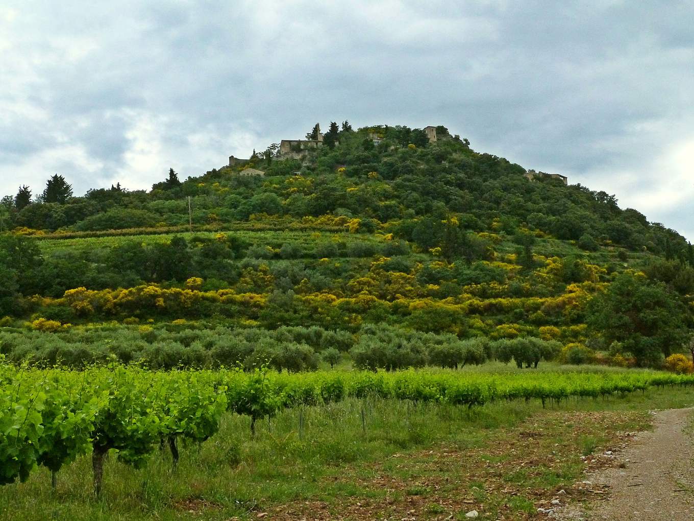 Le paysage de Mérindol-les-Oliviers, dans les Baronnies provençales