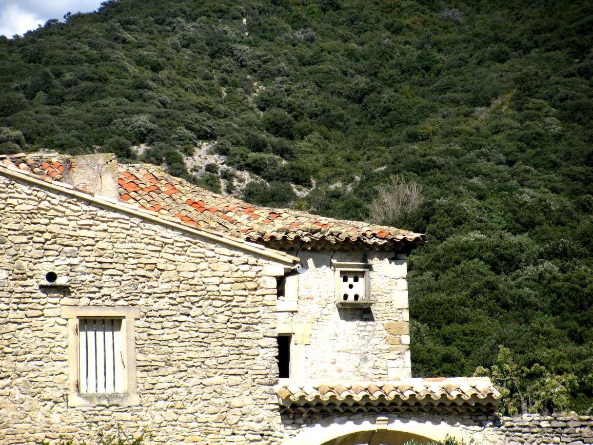 Un petit pigeonnier à Montbrison-sur-Lez