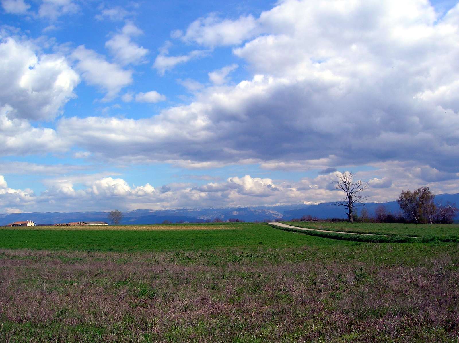 La vue sur le massif du Vercors depuis Montmiral