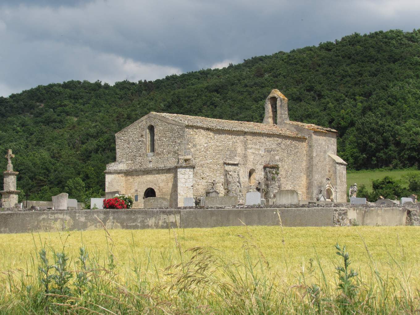 La chapelle romane Saint-Pierre de Peyrus, en pierre, avec son clocher-mur, derrière le mur du cimetière et un champ de blé, au pied d'une colline boisée