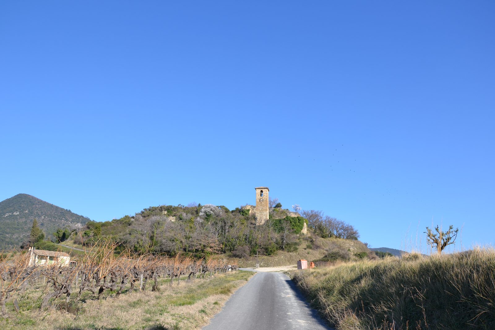 La colline du vieux village de Piégon, un beffroi de pierre au sommet au milieu de la végétation, au bout d'une petite route