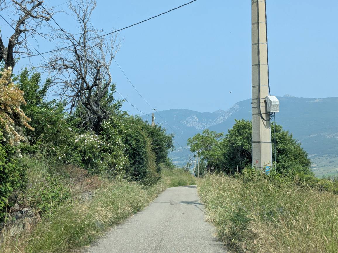 Le chemin de l'Alosier à Rioms, petite route entre les haies, avec les montagnes des Baronnies à l'horizon