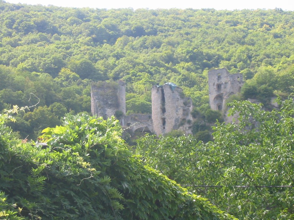 Les trois masses de maçonnerie du château de Rochechinard émergeant du bois