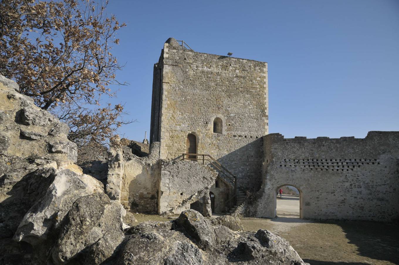 Le donjon du château de Rochefort-en-Valdaine