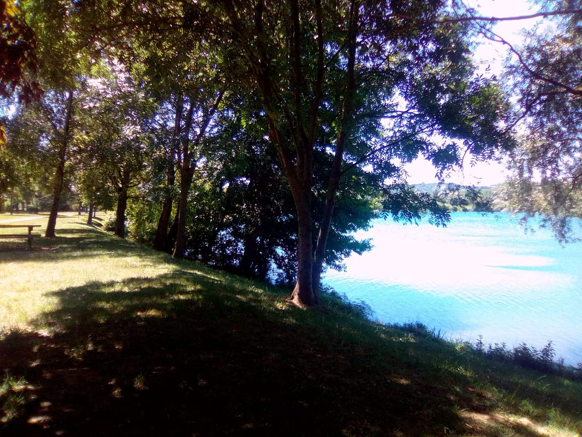 Le lac des Vernets de Galaure vu à travers les arbres de la rive, une pelouse ombragée au premier plan