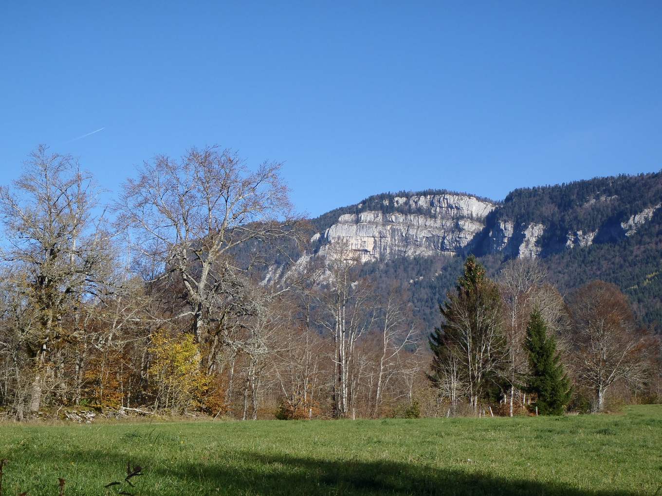 La vallée de Saint-Julien-en-Vercors, prairies et forêt sous les falaises