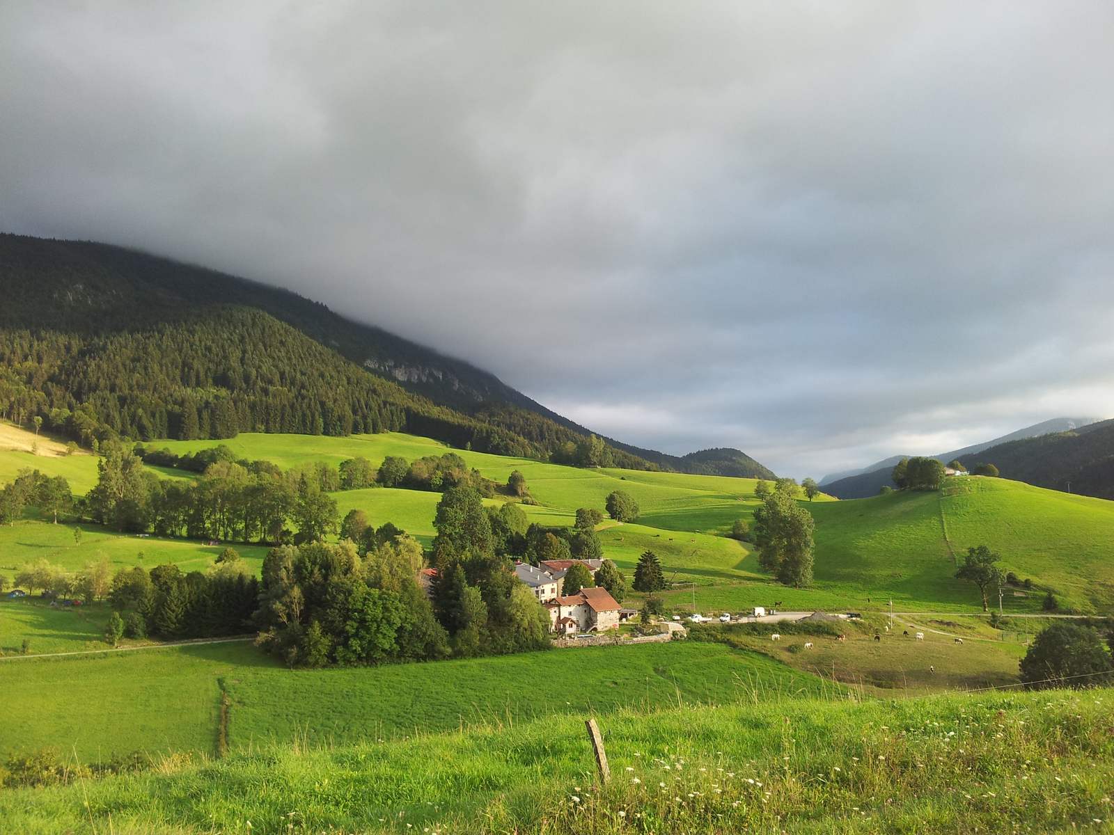 Le berceau agricole de Saint-Martin-en-Vercors, prairies, haies et hameau sous la falaise