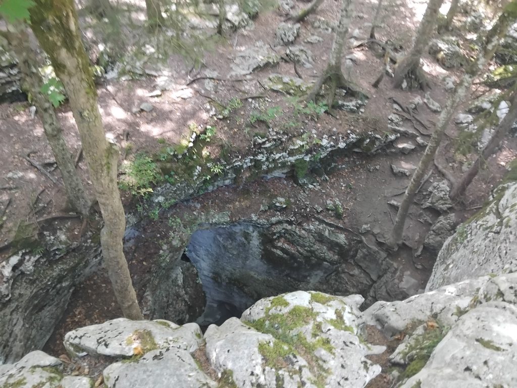 Le gouffre du Pot du Loup, ouverture béante au ras du sol forestier, sans barrière