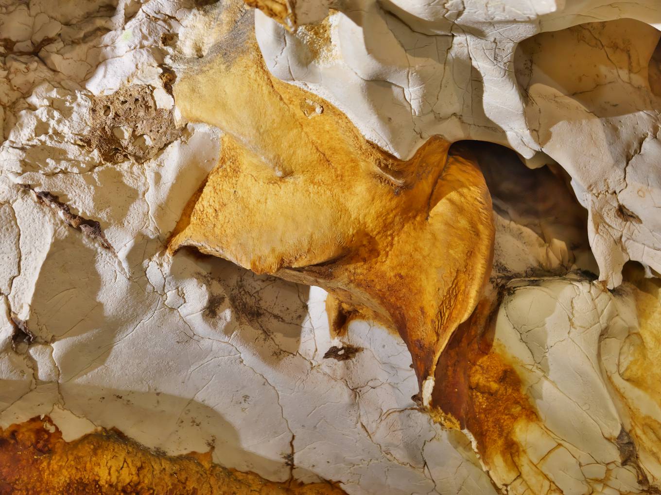 Une galerie de la grotte de Thaïs aux parois colorées