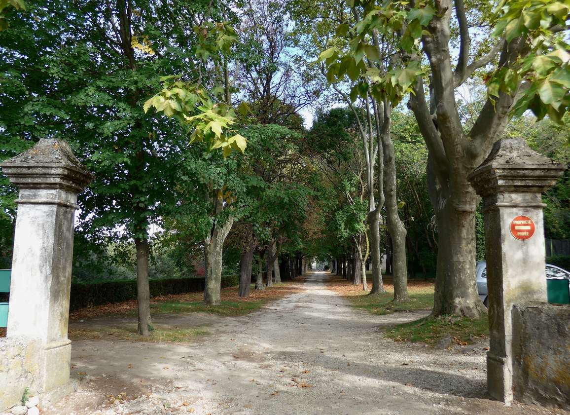 L'allée du domaine de Serre-de-Parc