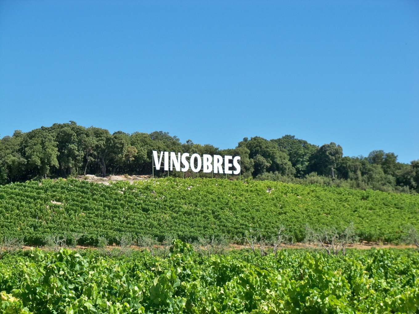 Les vignes de Vinsobres