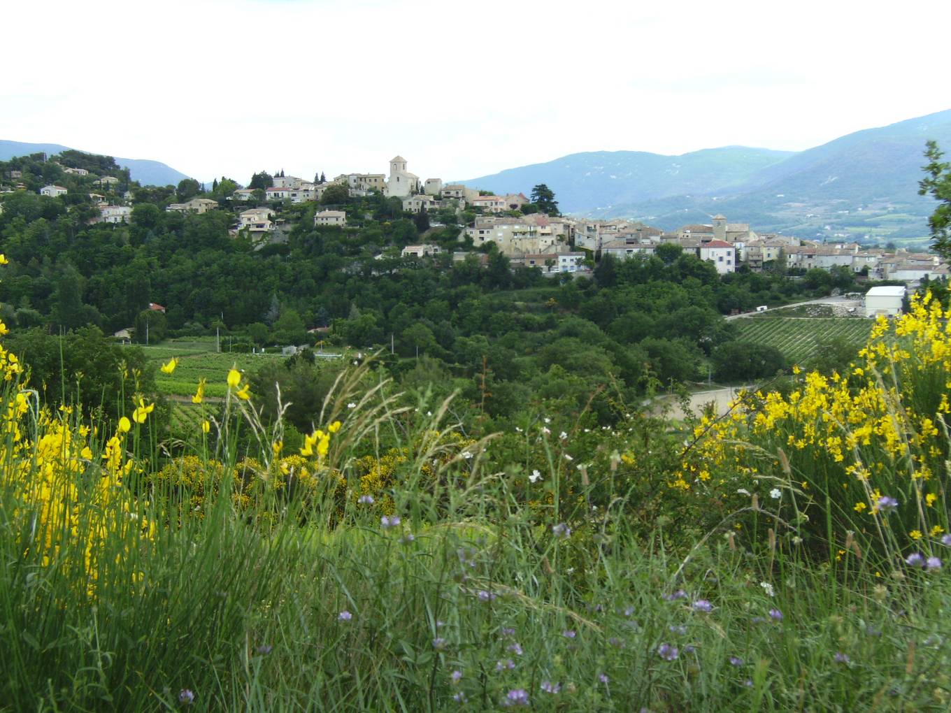 Le village de Vinsobres vu de l'ouest